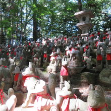 木漏れ日が狐を照らしています。