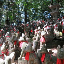 同じような位置からですが、木漏れ日の照らす場所が違います。