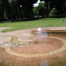 夏場はこの水辺で子どもたちがたくさん遊んでいます。