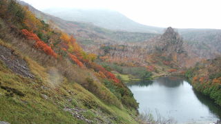 紅葉は一度は見るべき