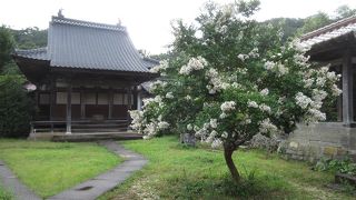 上から見る世界遺産の町並み ♪