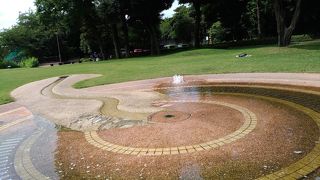 桜や紅葉、水遊びが楽しめる！