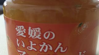 みかん加工品の種類が多い