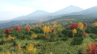 紅葉の時期は綺麗