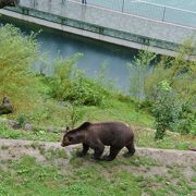 バラ公園のすぐ側です