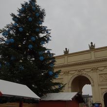 大きなツリーもありました。青くライトアップされるそうです。