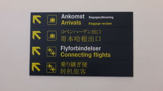 小規模ながら便利な空港