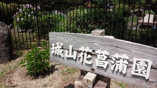 綺麗に整備されてます