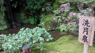 水がとてもキレイ