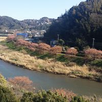 部屋からの眺め