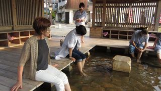 お魚と温泉で有名な