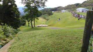 一日ここで遊ぶことができます！