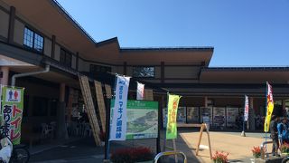 メタセコイヤ並木を撮影した後に寄りました