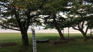 琵琶湖の広さに驚きました