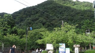 登りたかった！