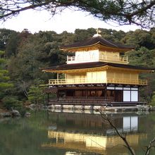 輝く金閣寺