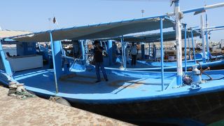 日本ではできない体験