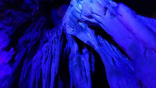 とっても綺麗で見応えの有る鍾乳洞