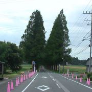 湖北の名所です。気持ちよくドライブできる場所です。