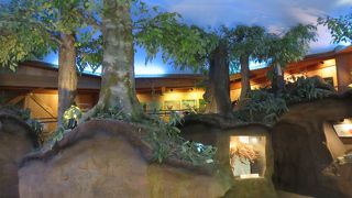 金剛山の上の立派な施設！