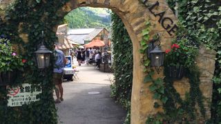 動物もいました