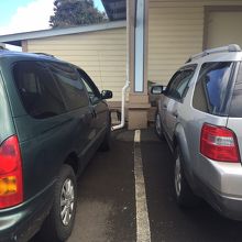 お店の前に駐車場がありにゃんこが二匹いました