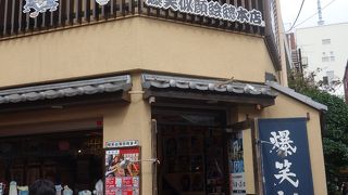 見学だけでも楽しい