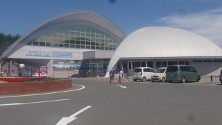 幻の魚、イトウが見られます