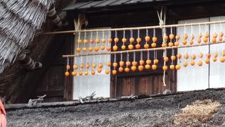 古民家博物館／日本民家園