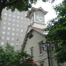 裏手から・・・