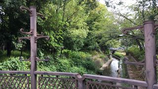 これはもう緑地レベル！