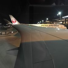 しなやかに伸びる翼。ヨーロッパの誇る最新鋭機です。