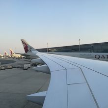 ヨルダン航空なども一部見受けられますが、ほとんどQR機..