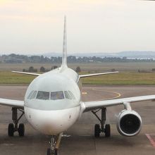 ここまで運んでくれたカタール航空。道中暇でした