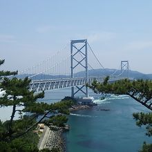 お茶園展望台からの景色