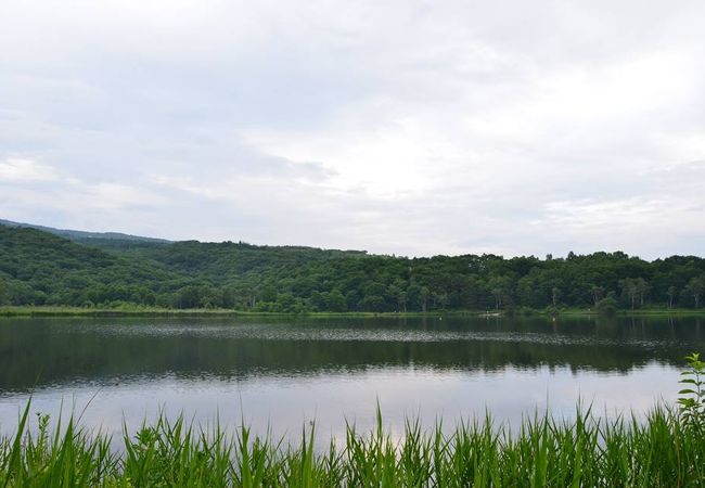 湖畔の高原キャンプ場