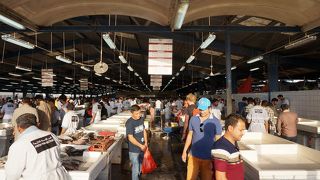 見るだけになりますが