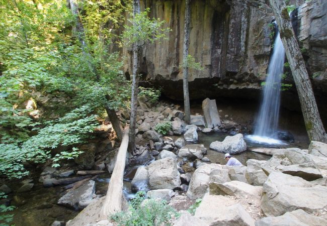 ひっそりと現れる力強い滝