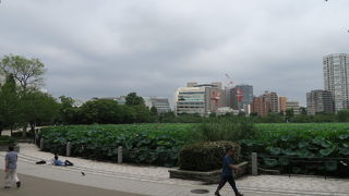 行ってびっくり！