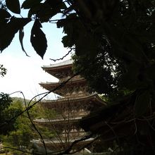 森から見るのもまた美しい