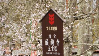 醍醐寺 五重塔・日本で最も美しい五重塔！