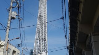 高すぎて近くから画像撮るのが大変でした