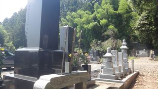 菩提寺ではあるが瑞鳳殿とは別扱い