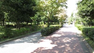 草が伸び放題でした