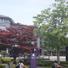 周辺の緑との調和も意識してるっぽい