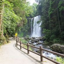 遊歩道から