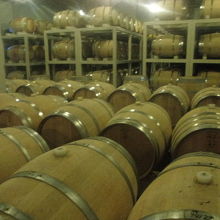 ワインの芳香も漂う仕込み樽が並ぶ光景