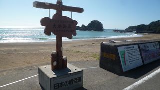 ウミガメが産卵に訪れる美しい砂浜