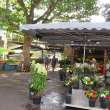 ヴィユ マルシェ