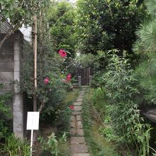 高島秋帆の墓所への通路